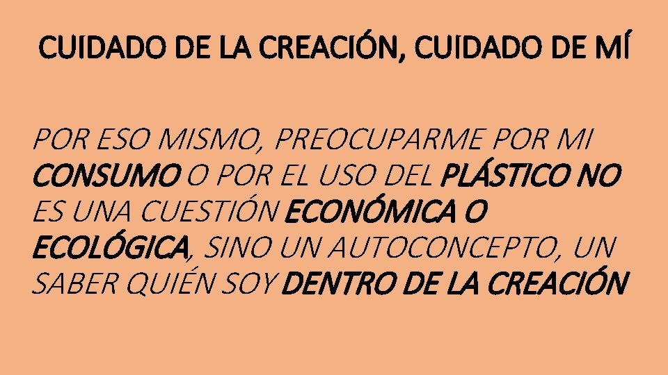 CUIDADO DE LA CREACIÓN, CUIDADO DE MÍ POR ESO MISMO, PREOCUPARME POR MI CONSUMO