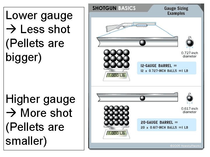Lower gauge Less shot (Pellets are bigger) Higher gauge More shot (Pellets are smaller) Lower gauge Less shot (Pellets are bigger) Higher gauge More shot (Pellets are smaller)