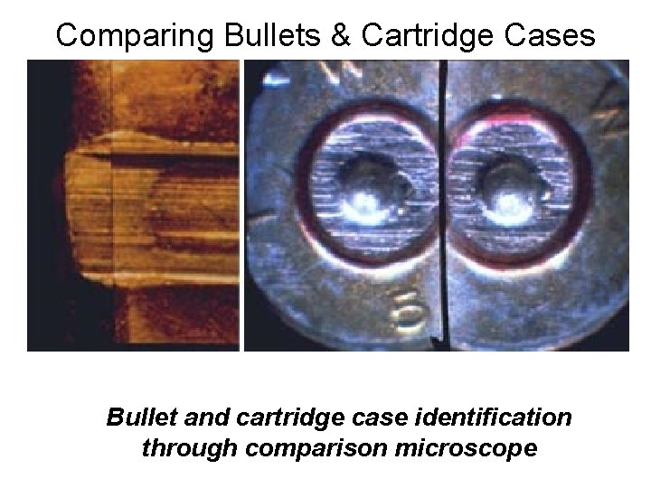 Comparing Bullets & Cartridge Cases Bullet and cartridge case identification through comparison microscope 