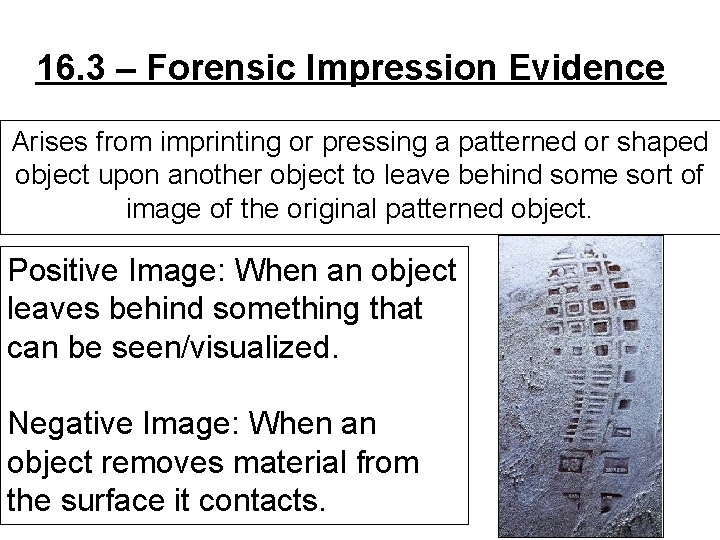 16. 3 – Forensic Impression Evidence Arises from imprinting or pressing a patterned or