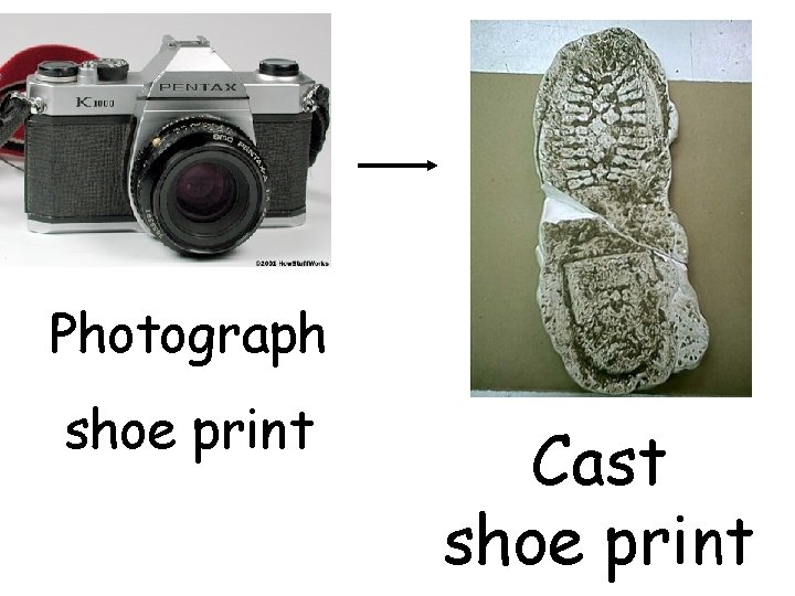 Photograph shoe print Cast shoe print 