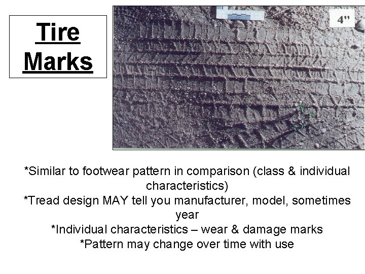 Tire Marks *Similar to footwear pattern in comparison (class & individual characteristics) *Tread design Tire Marks *Similar to footwear pattern in comparison (class & individual characteristics) *Tread design