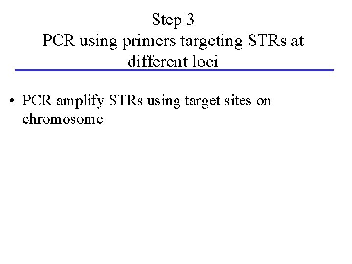 Step 3 PCR using primers targeting STRs at different loci • PCR amplify STRs