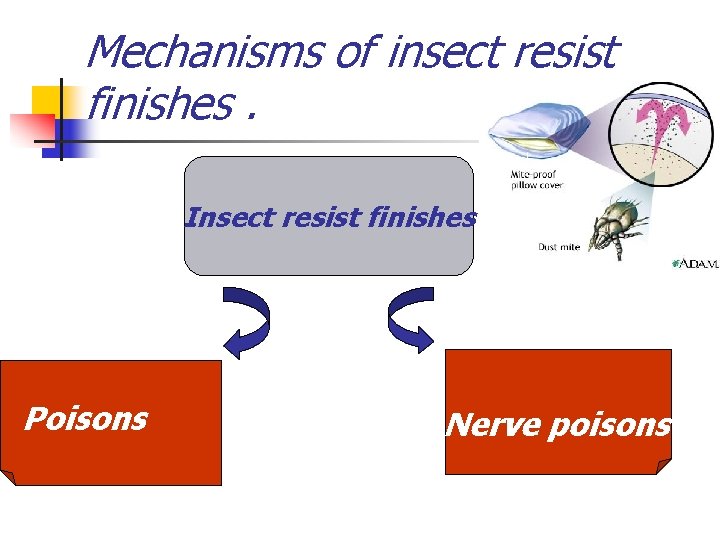 Mechanisms of insect resist finishes. Insect resist finishes Poisons Nerve poisons 