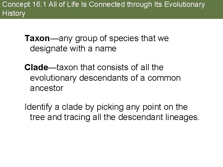 Concept 16. 1 All of Life Is Connected through Its Evolutionary History Taxon—any group