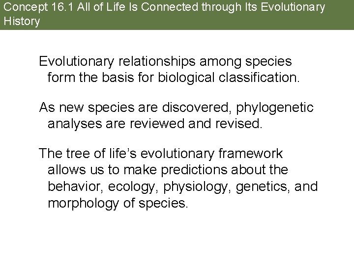 Concept 16. 1 All of Life Is Connected through Its Evolutionary History Evolutionary relationships