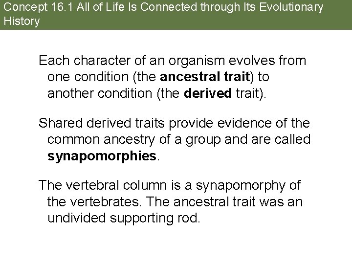 Concept 16. 1 All of Life Is Connected through Its Evolutionary History Each character