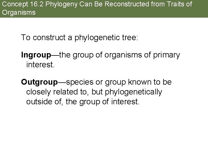 Concept 16. 2 Phylogeny Can Be Reconstructed from Traits of Organisms To construct a