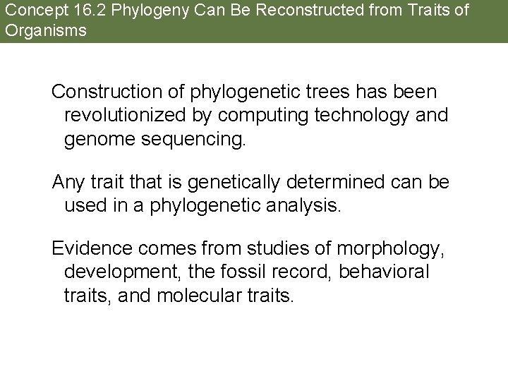 Concept 16. 2 Phylogeny Can Be Reconstructed from Traits of Organisms Construction of phylogenetic