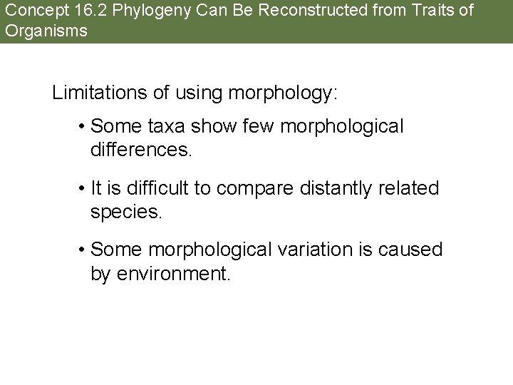 Concept 16. 2 Phylogeny Can Be Reconstructed from Traits of Organisms Limitations of using