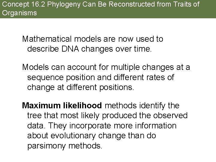 Concept 16. 2 Phylogeny Can Be Reconstructed from Traits of Organisms Mathematical models are