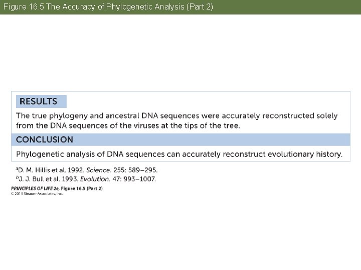 Figure 16. 5 The Accuracy of Phylogenetic Analysis (Part 2) 