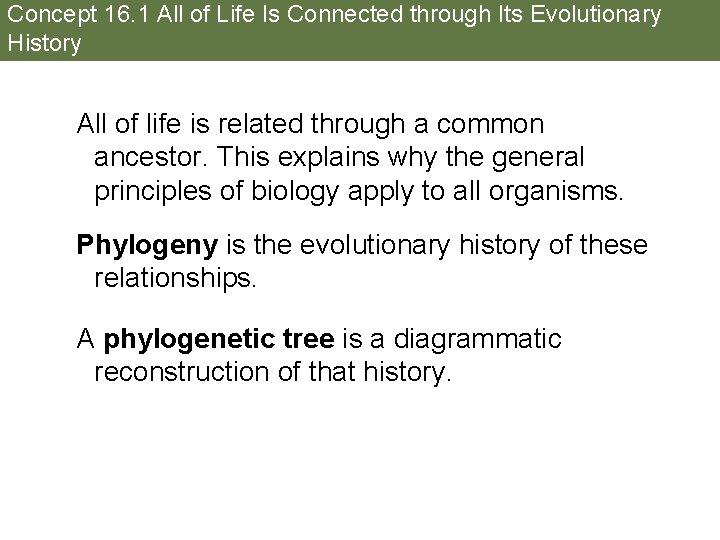 Concept 16. 1 All of Life Is Connected through Its Evolutionary History All of