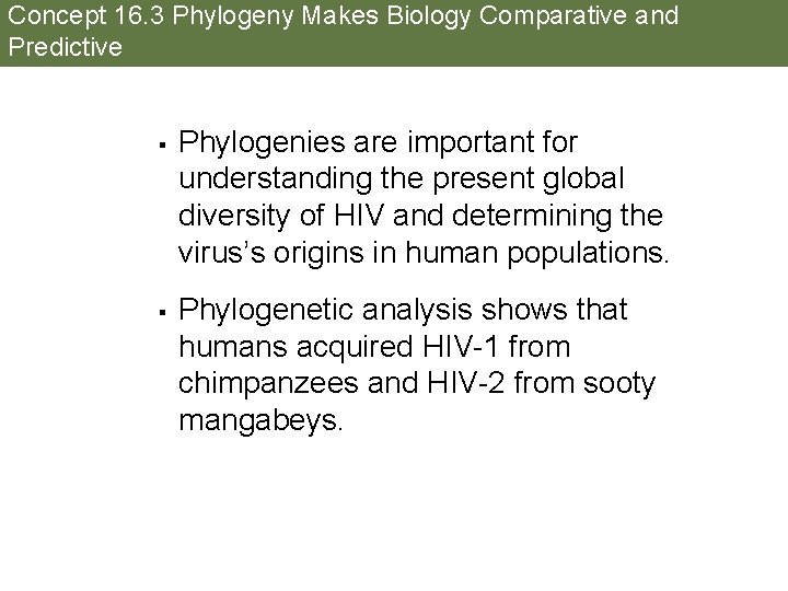 Concept 16. 3 Phylogeny Makes Biology Comparative and Predictive § § Phylogenies are important