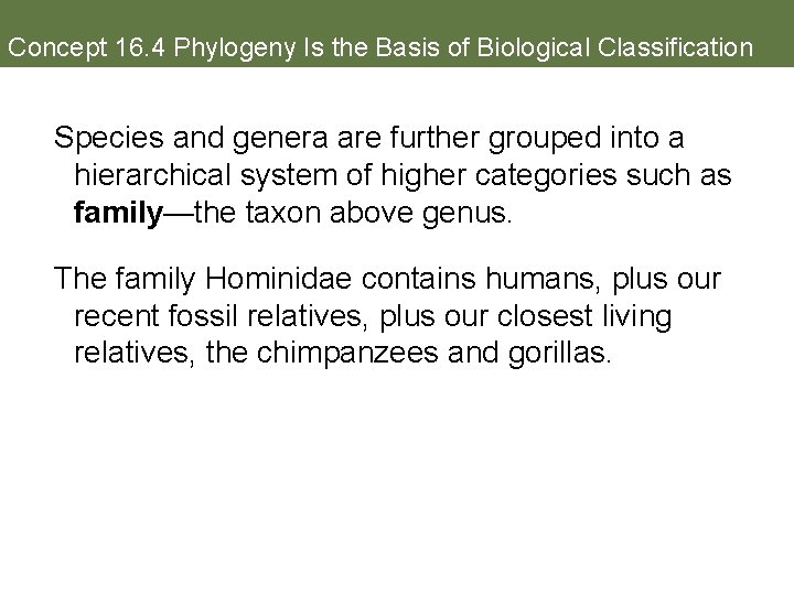 Concept 16. 4 Phylogeny Is the Basis of Biological Classification Species and genera are