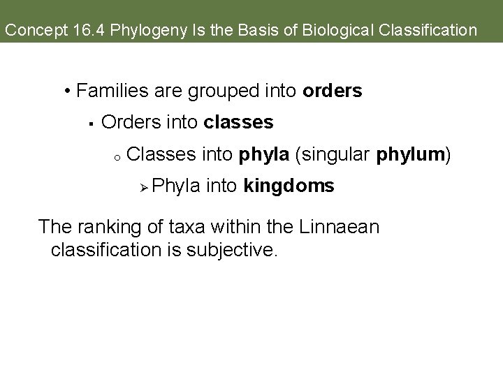 Concept 16. 4 Phylogeny Is the Basis of Biological Classification • Families are grouped
