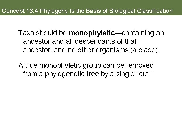 Concept 16. 4 Phylogeny Is the Basis of Biological Classification Taxa should be monophyletic—containing