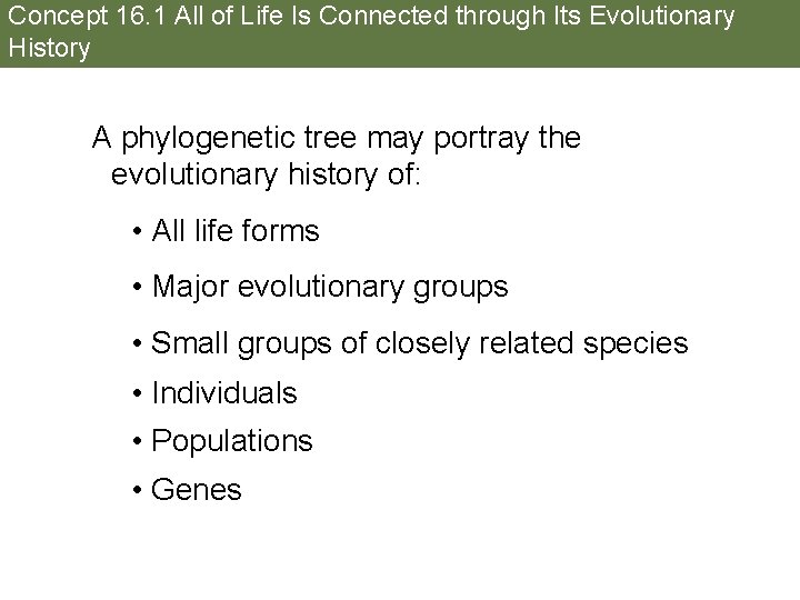 Concept 16. 1 All of Life Is Connected through Its Evolutionary History A phylogenetic