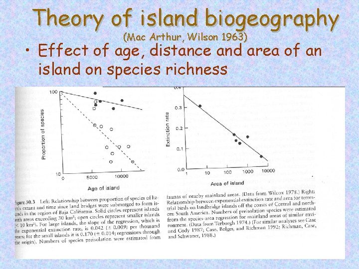 Theory of island biogeography (Mac Arthur, Wilson 1963) • Effect of age, distance and