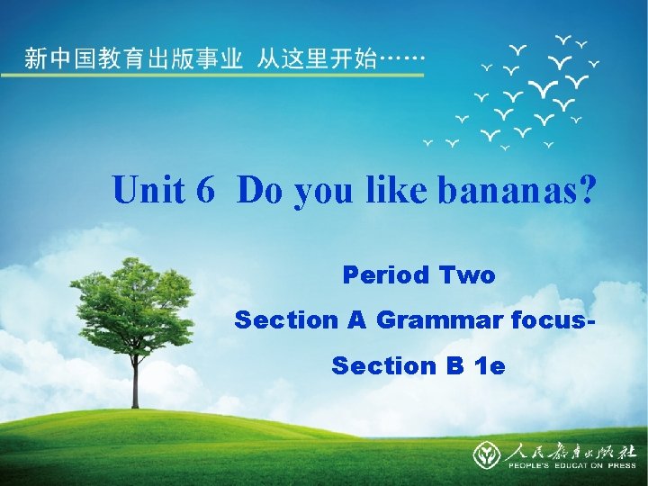 Unit 6 Do you like bananas? Period Two Section A Grammar focus. Section B