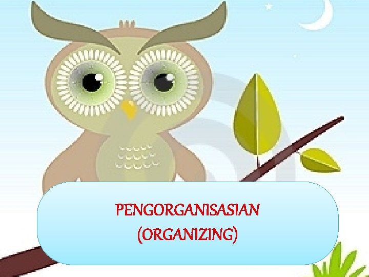 PENGORGANISASIAN (ORGANIZING) 