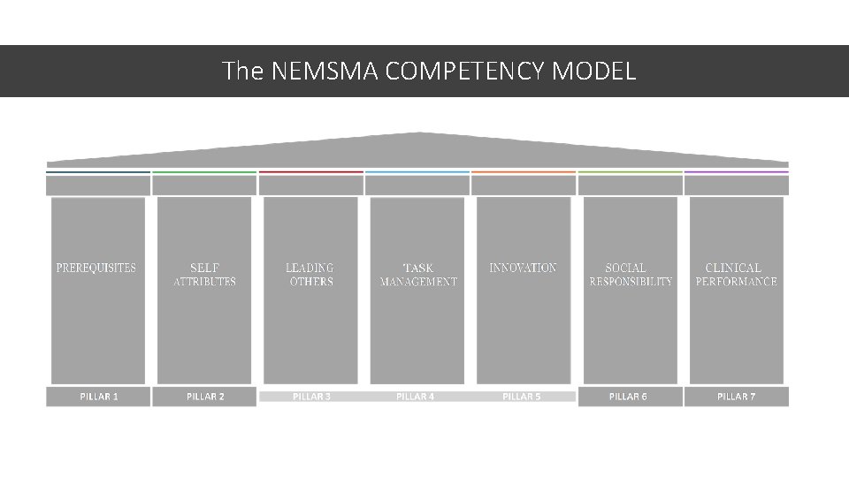The NEMSMA COMPETENCY MODEL 