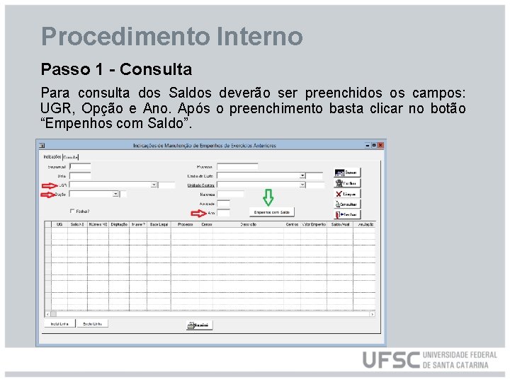 Procedimento Interno Passo 1 - Consulta Para consulta dos Saldos deverão ser preenchidos os