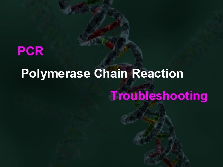 PCR Polymerase Chain Reaction Troubleshooting 