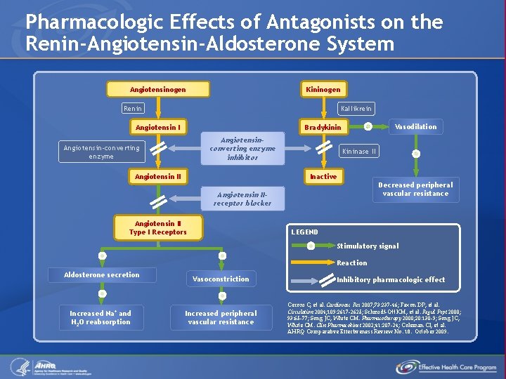 Pharmacologic Effects of Antagonists on the Renin-Angiotensin-Aldosterone System Angiotensinogen Kininogen Renin Kallikrein Angiotensin I