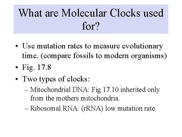What are Molecular Clocks used for? • Use mutation rates to measure evolutionary time.