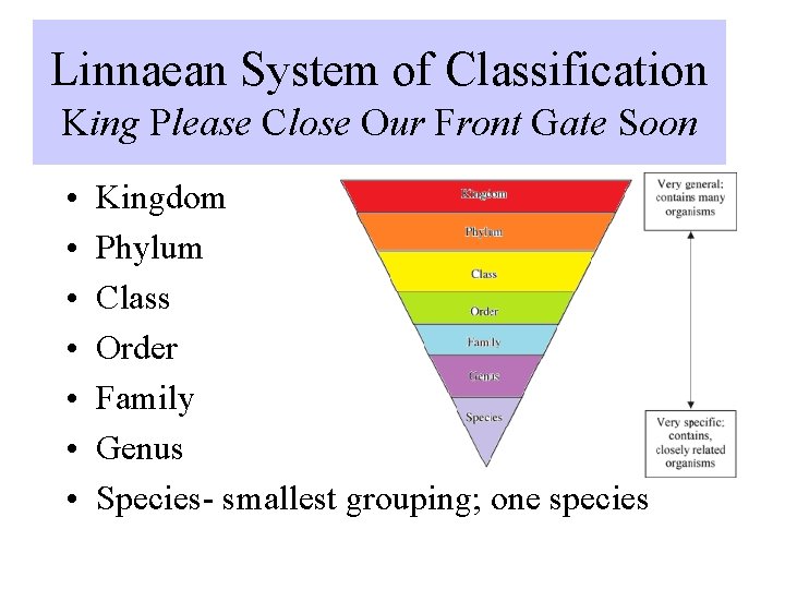 Linnaean System of Classification King Please Close Our Front Gate Soon • • Kingdom