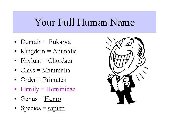 Your Full Human Name • • Domain = Eukarya Kingdom = Animalia Phylum =