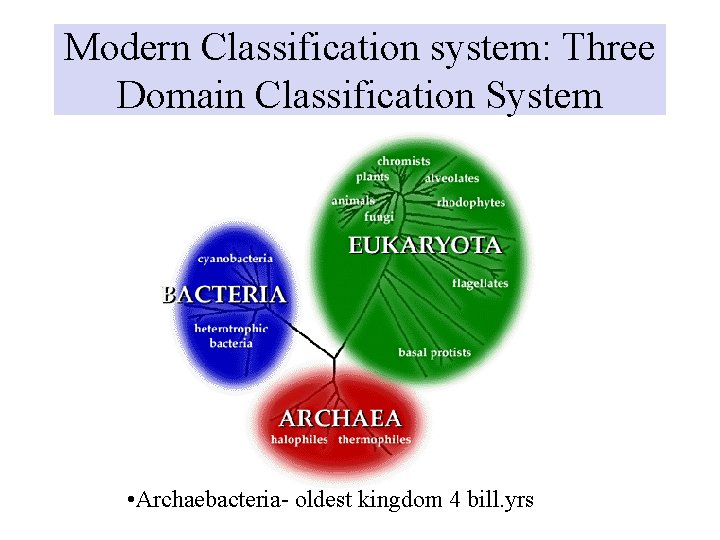 Modern Classification system: Three Domain Classification System • Archaebacteria- oldest kingdom 4 bill. yrs