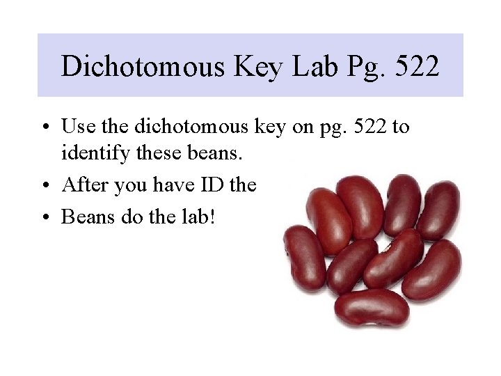 Dichotomous Key Lab Pg. 522 • Use the dichotomous key on pg. 522 to