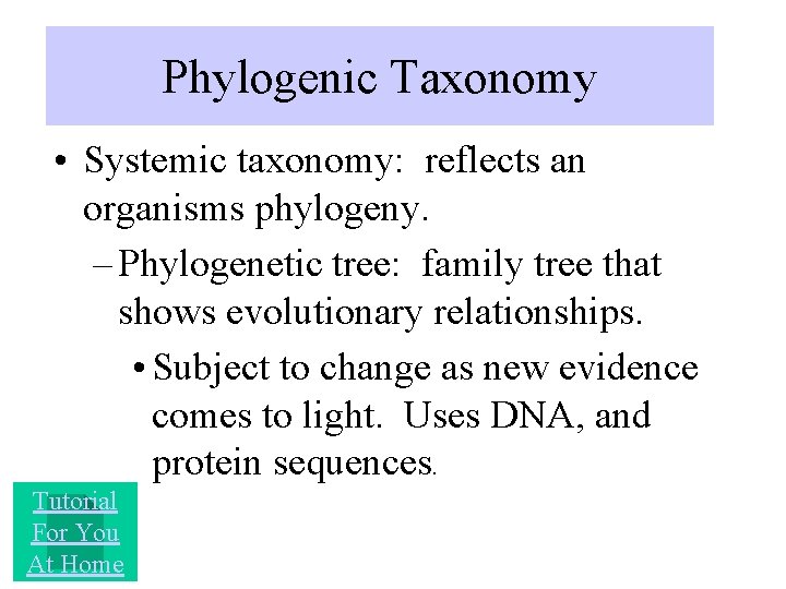 Phylogenic Taxonomy • Systemic taxonomy: reflects an organisms phylogeny. – Phylogenetic tree: family tree