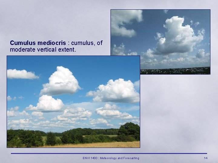 Cumulus mediocris : cumulus, of moderate vertical extent. ENVI 1400 : Meteorology and Forecasting