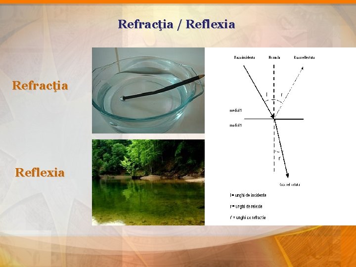 Refracţia / Reflexia Refracţia Reflexia 