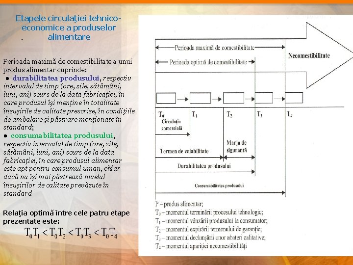 Etapele circulaţiei tehnicoeconomice a produselor alimentare . Perioada maximă de comestibilitate a unui produs