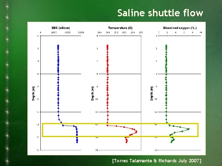 Saline shuttle flow [Torres Talamante & Richards July 2007] 
