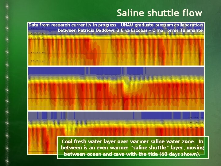 Saline shuttle flow Data from research currently in progress – UNAM graduate program collaboration