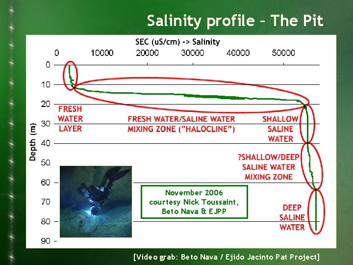 Salinity profile – The Pit November 2006 courtesy Nick Toussaint, Beto Nava & EJPP