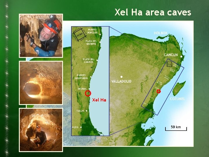 Xel Ha area caves Xel Ha 