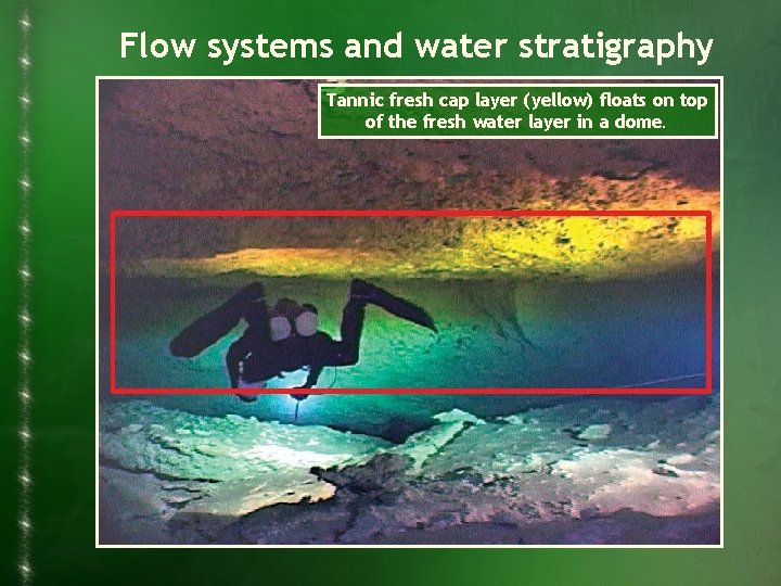 Flow systems and water stratigraphy Tannic fresh cap layer (yellow) floats on top of