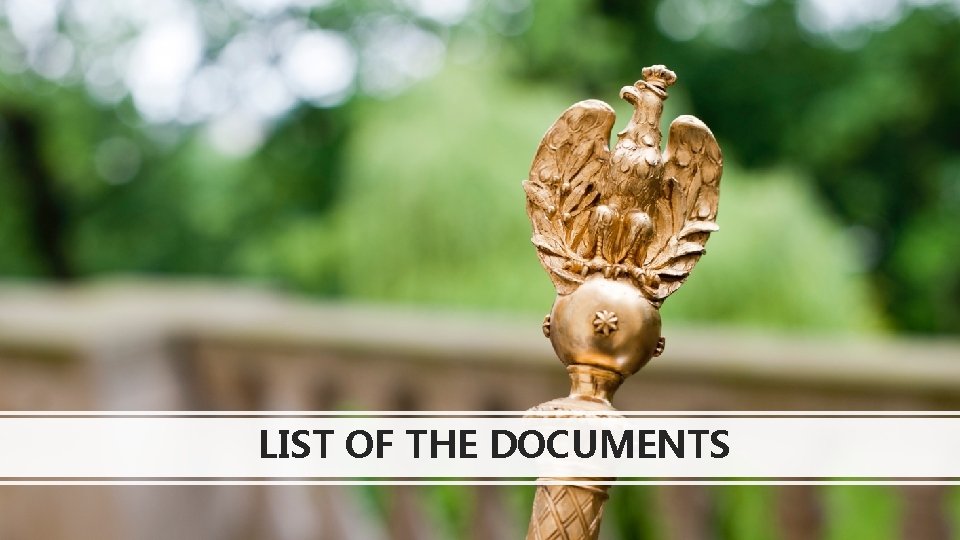 LIST OF THE DOCUMENTS 