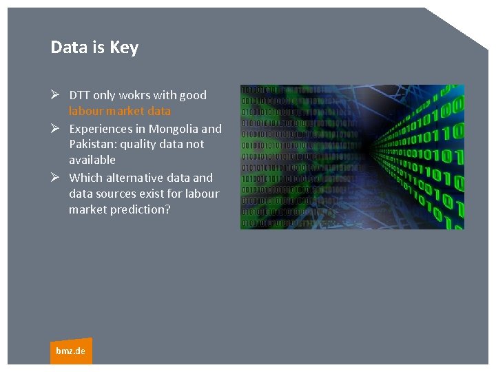 Data is Key Ø DTT only wokrs with good labour market data Ø Experiences