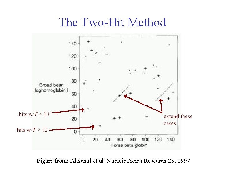 The Two-Hit Method Figure from: Altschul et al. Nucleic Acids Research 25, 1997 The Two-Hit Method Figure from: Altschul et al. Nucleic Acids Research 25, 1997