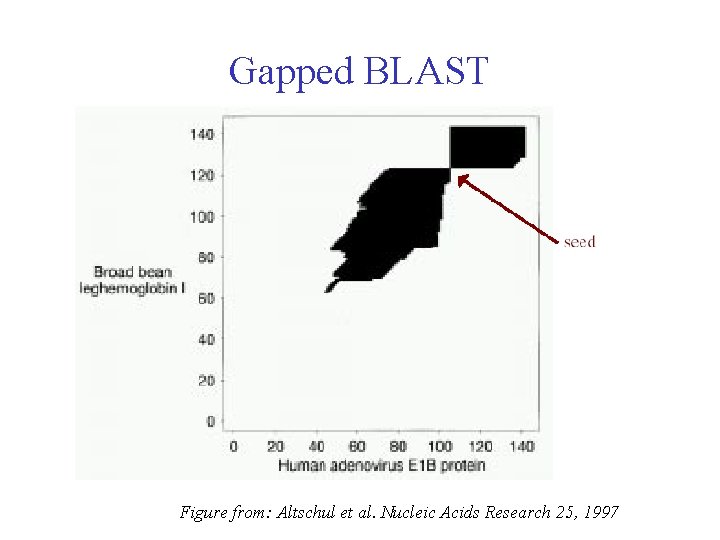 Gapped BLAST Figure from: Altschul et al. Nucleic Acids Research 25, 1997 Gapped BLAST Figure from: Altschul et al. Nucleic Acids Research 25, 1997