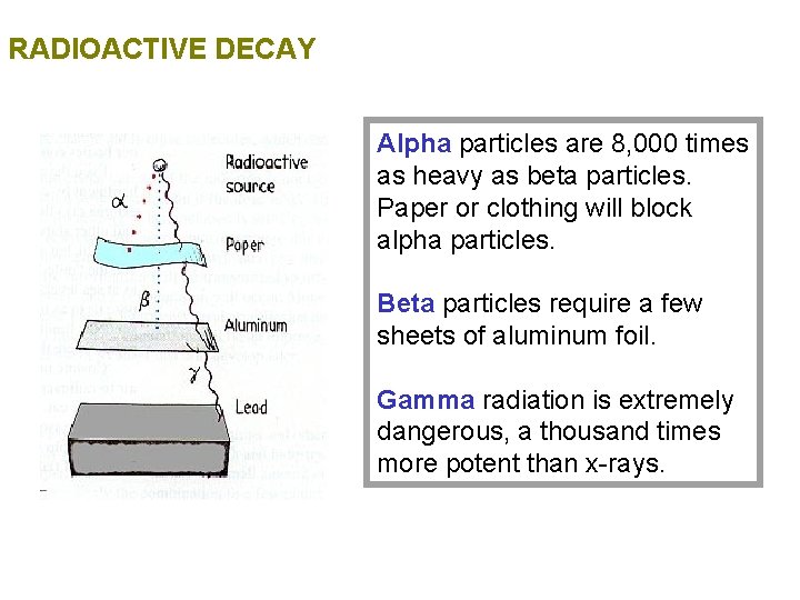 RADIOACTIVE DECAY Alpha particles are 8, 000 times as heavy as beta particles. Paper RADIOACTIVE DECAY Alpha particles are 8, 000 times as heavy as beta particles. Paper