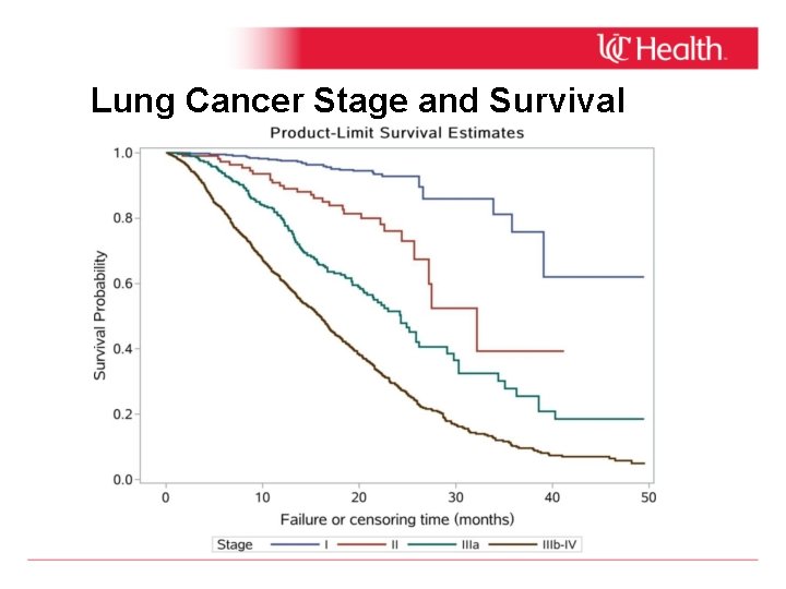 Lung Cancer Stage and Survival 