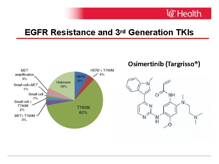 EGFR Resistance and 3 rd Generation TKIs Osimertinib (Targrisso®) 